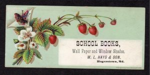 HAGERSTOWN MARYLAND*MD*W L HAYS & SON*SCHOOL BOOKS*WALL PAPER & WINDOW SHADES