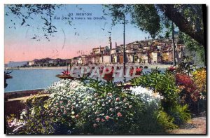 Old Postcard Menton Vue Prize through the Olives