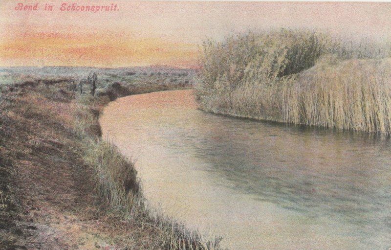 Bend In Schoonspruit South Africa Old Postcard