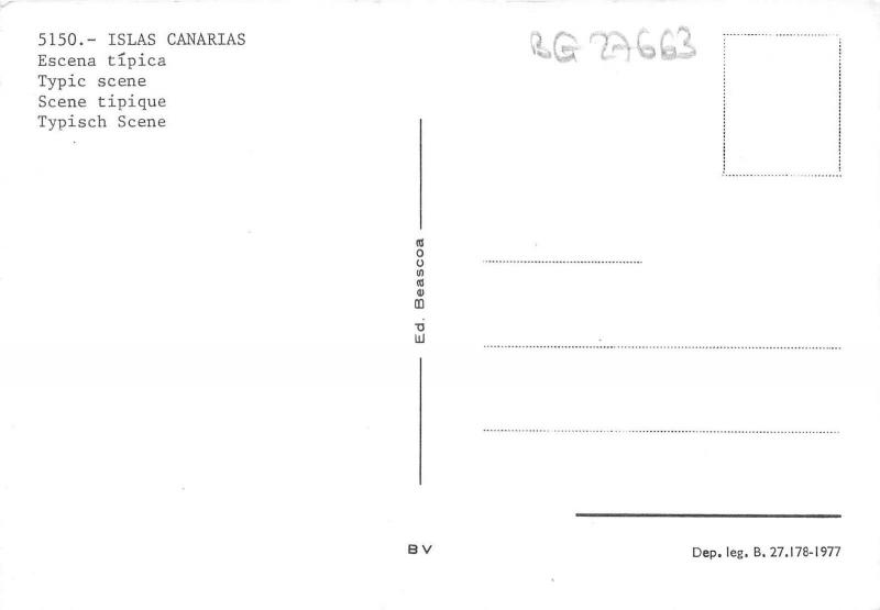 BG27663 types donkey comic islas canarias types   spain