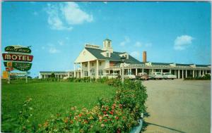 NEWBURG,  MD Maryland   WHITE HOUSE MOTEL Restaurant  c50s Cars RoadsidePostcard