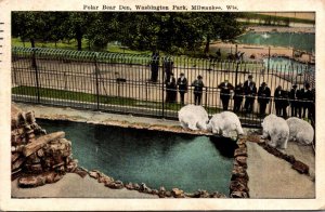 Polar Bears Polar Bear Den Washington Park Milwaukee Wisconsin 1927