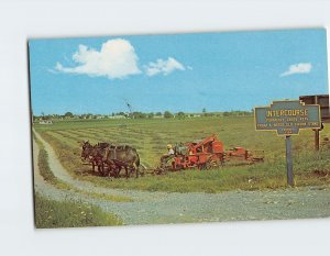 M-199456 Farm Scene Pennsylvania Dutch Country USA