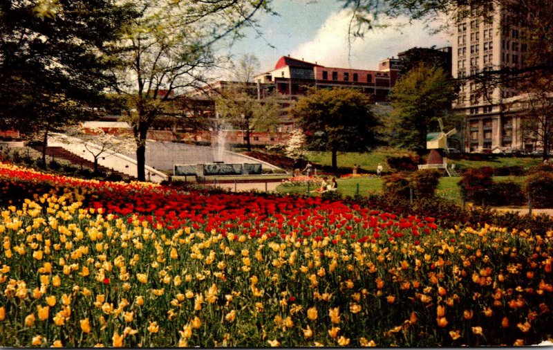 Georgia Atlanta Hurt Park With Tulips 1962