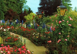 Rose Garden,Butchart Gardens,Victoria,British Columbia,Canada