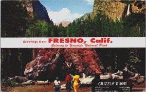 Greetings From Fresno California Chrome Postcard C150