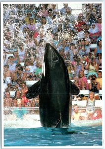 Postcard - Expected scattered showers at Shamu Stadium - Sea World