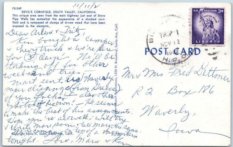 c1950s Death Valley CA Devil's Cornfield Desert Landscape Chrome Postcard