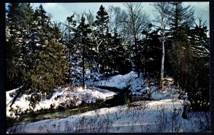 Canada PEI A Typical Winter Scene Creek with Snow - Chrome