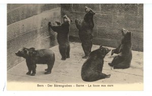 Switzerland - Bern. The Barengraben (Bear Pit)