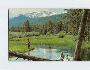 Postcard Miner's Creek Near Jackson Montana USA