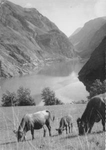 BF30107 le chambon france