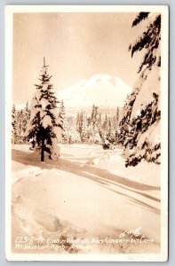 RPPC~Oregon~Mt Hood Loop Road~Winter View~Government Camp~Forest~1930 Postcard