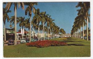 Royal Poinciana Way Palms Cars Palm Beach Florida postcard