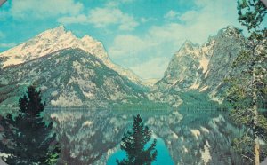 USA Mt. Teewinot and Saddle Over Jenny Lake Wyoming Vintage Postcard 07.85