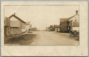 HALE MI MAIN STREET ANTIQUE REAL PHOTO POSTCARD RPPC