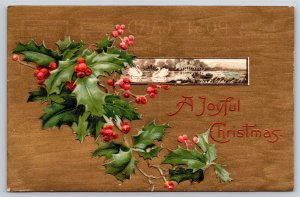 Greetings~Holly Swans In Rectangle Joyful Christmas~Winsch Vintage Postcard