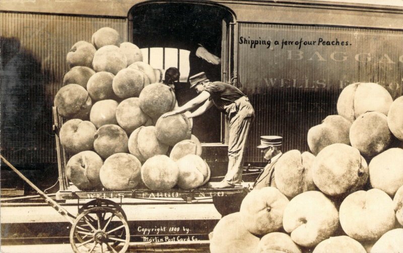 1909 RPPC Shipping a Few of Our Peaches Exaggeration Train Real Photo Postcard