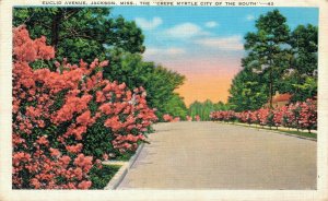 USA Euclid Avenue Jackson Miss The Crepe Myrtle City of the South Linen 08.37