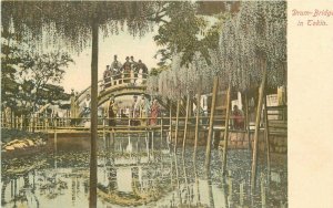 C-1905 Tokyo Japan Drum Bridge hand colored Postcard Rotograph 8971