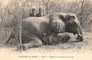 B91678 niger africa types folklore elephant killed in Torodi