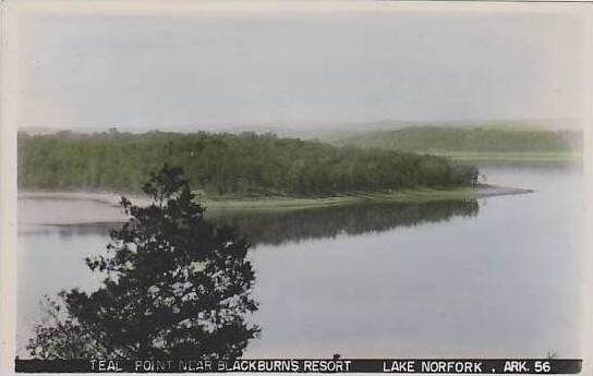 Arkansas Lake Norfork Teal Point Near Blackburns Resort