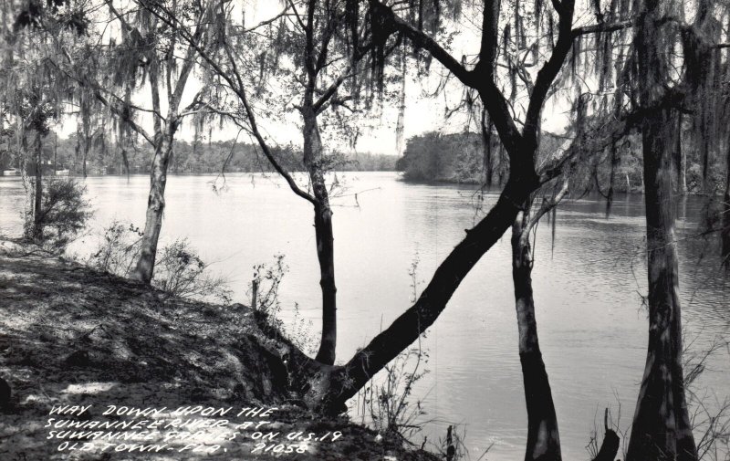 Vintage Postcard Real Photo Way Down Above Sewanee River Old Town Florida RPPC