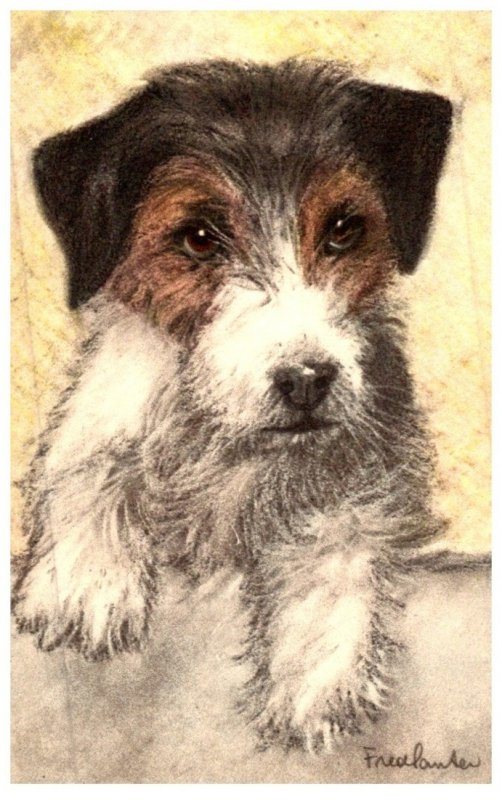 Dog ,    Fox Terrier   artist signed