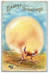 1909 Easter Greetings Chick And Fly Embossed Derby CT Posted Antique Postcard