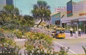 Florida Miami Beach Exotic Lincoln Mall 1956