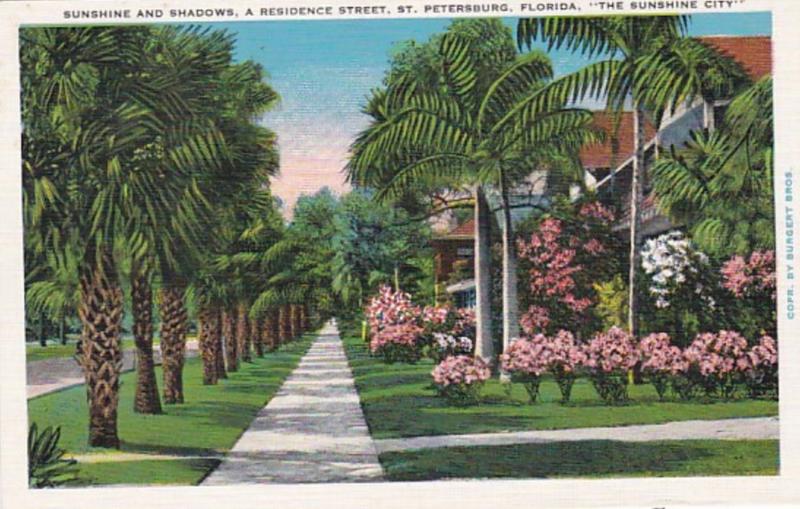 Florida St Petersburg Residential Street Scene