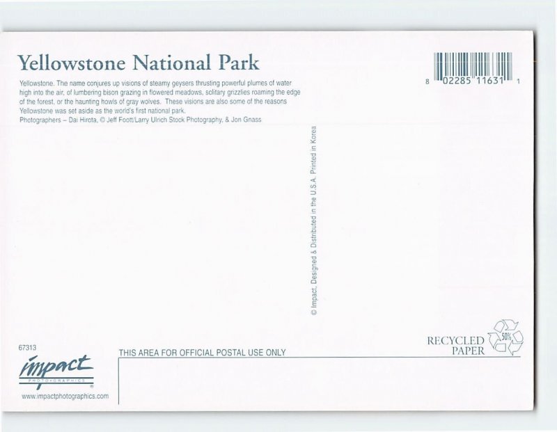 Postcard Yellowstone National Park, Wyoming
