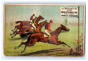 1870s-80s Dalley's Magical Pain Extractor Equestrian Horse Race F151