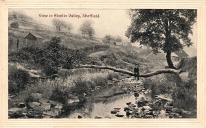 View in Rivelin Valley Nature Trail Sheffield England UK Vintage Postcard