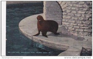 Ohio Toledo Sea Lion Pool Zoological Park