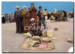 Postcard Modern Marrakech charmers Snakes