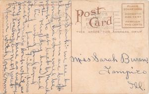 FRESNO CALIFORNIA POSTMARK TALL PAN  PALMS EDWARD MITCHELL POSTCARD c1912