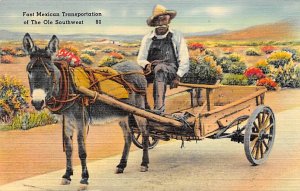 Fast Mexican Transportation - Misc, Texas TX  