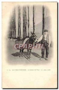 Old Postcard Pyrenees Costumes payx Donkey Mule