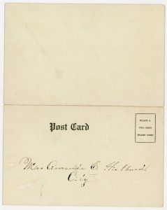 c1900-10 Real Carmel Daisy Scabiosa Prolifera On postcard P106