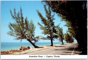 CONTINENTAL SIZE SIGHTS SCENES & SPECTACLES OF ANNA MARIA ISLAND FLORIDA #10