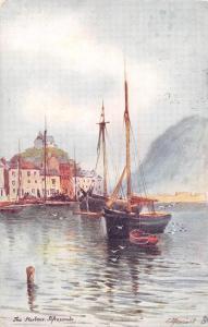 uk14991 the harbour ilfracombe uk