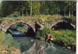 BF31164 environs de loudun le pont sain curcay sur dive  france front/back image