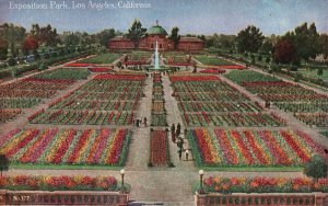 Vintage Postcard 1910's Exposition Park Los Angeles California CA