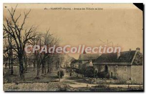 Old Postcard Blamont Avenue Des Tilleuls In Winter