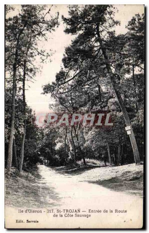 Old Postcard Island of Oleron St Trojan Entrance Road of Cote Sauvage