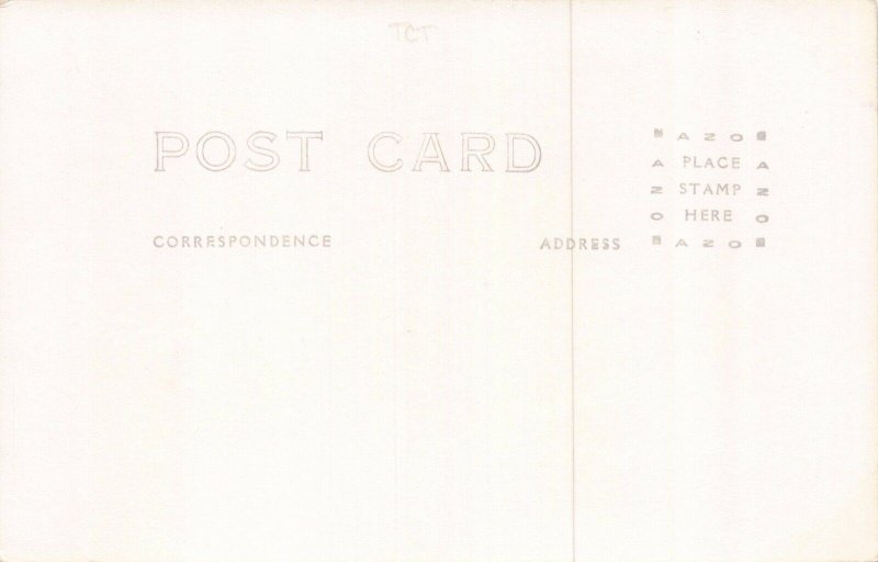 Real Photo Postcard Brailing a Salmon Trap in Alaska