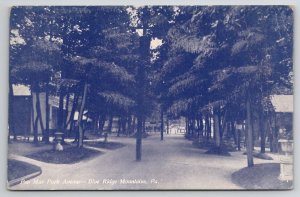 Blue Ridge Mountains PA Pen Mar Park Ave c1911 Pennsylvania Postcard C48