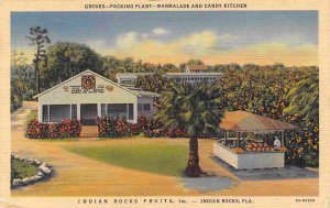 Groves Fruit Packing Plant Indian Rocks Florida 1938 linen postcard