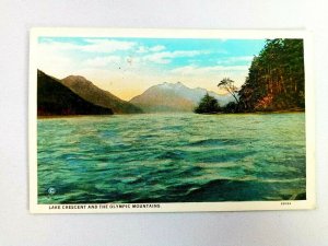 Vintage Postcard Lake Crescent and the Olympic Mountains Scene